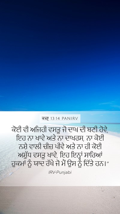 ਕਜ਼ਾૃ 13:14 PANIRV Bible Verse Image