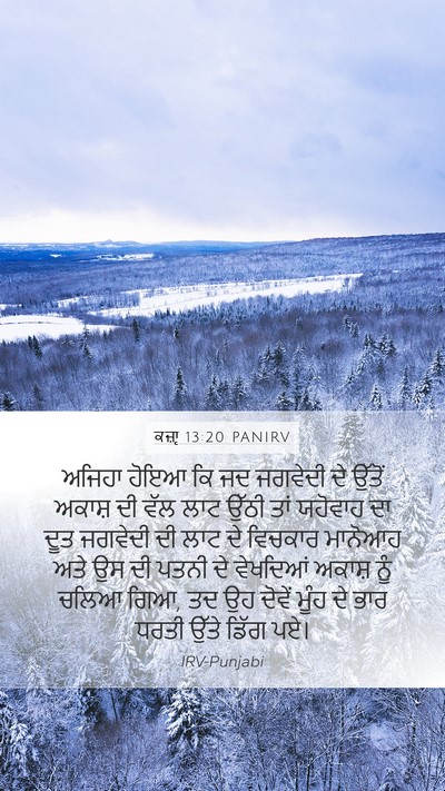 ਕਜ਼ਾૃ 13:20 PANIRV Mobile Phone Wallpaper - ਅਜਿਹਾ ਹੋਇਆ ਕਿ ਜਦ - Mobile Bible Verse Wallpaper