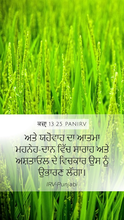 ਕਜ਼ਾૃ 13:25 PANIRV Bible Verse Image