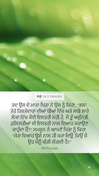 ਕਜ਼ਾૃ 14:3 PANIRV Mobile Phone Wallpaper - ਤਦ ਉਸ ਦੇ ਮਾਤਾ-ਪਿਤਾ - Mobile Bible Verse Wallpaper