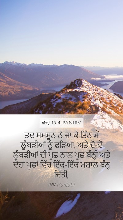 ਕਜ਼ਾૃ 15:4 PANIRV Bible Verse Image