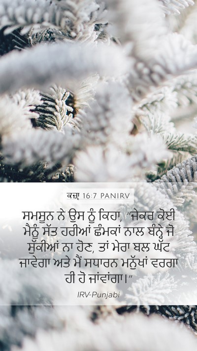 ਕਜ਼ਾૃ 16:7 PANIRV Bible Verse Image