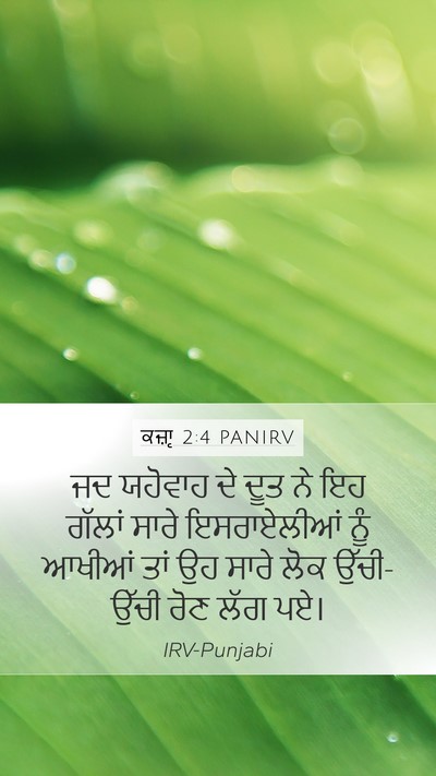 ਕਜ਼ਾૃ 2:4 PANIRV Bible Verse Image