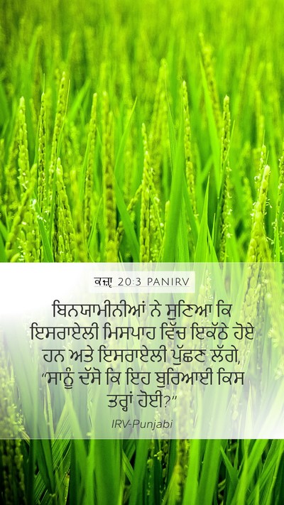 ਕਜ਼ਾૃ 20:3 PANIRV Mobile Phone Wallpaper - ਬਿਨਯਾਮੀਨੀਆਂ ਨੇ - Mobile Bible Verse Wallpaper