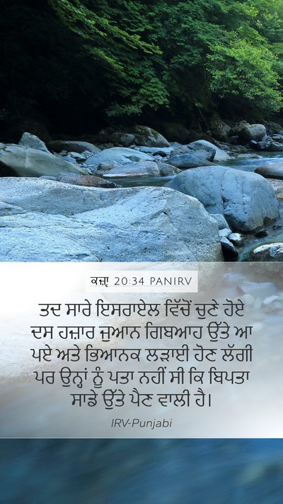 ਕਜ਼ਾૃ 20:34 PANIRV Bible Verse Image