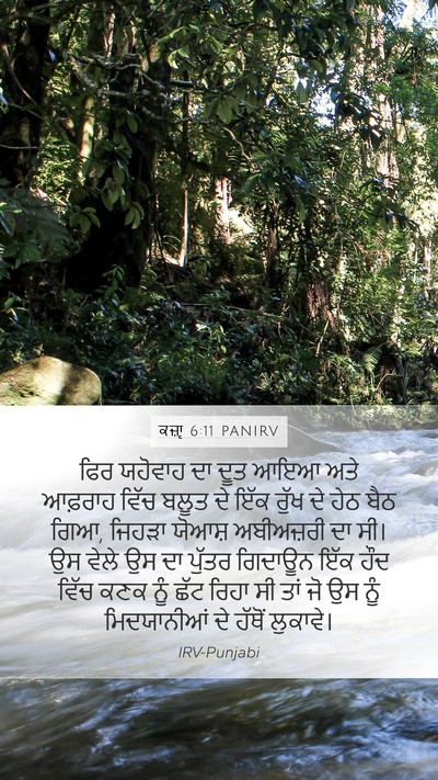 ਕਜ਼ਾૃ 6:11 PANIRV Bible Verse Image