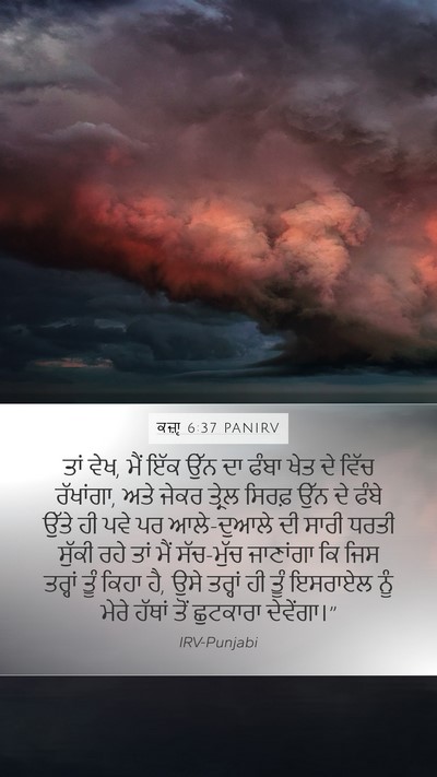 ਕਜ਼ਾૃ 6:37 PANIRV Bible Verse Image