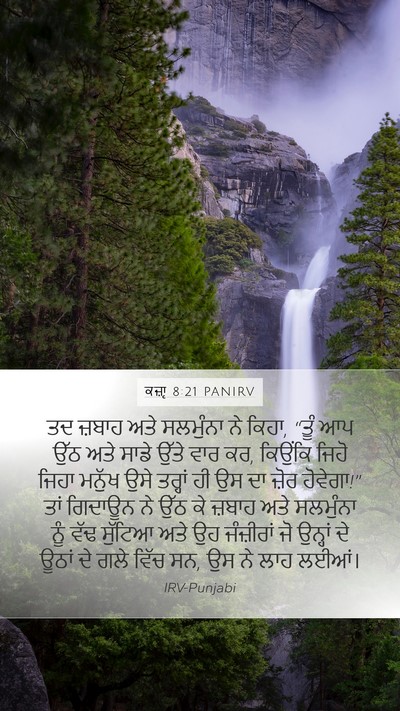ਕਜ਼ਾૃ 8:21 PANIRV Bible Verse Image