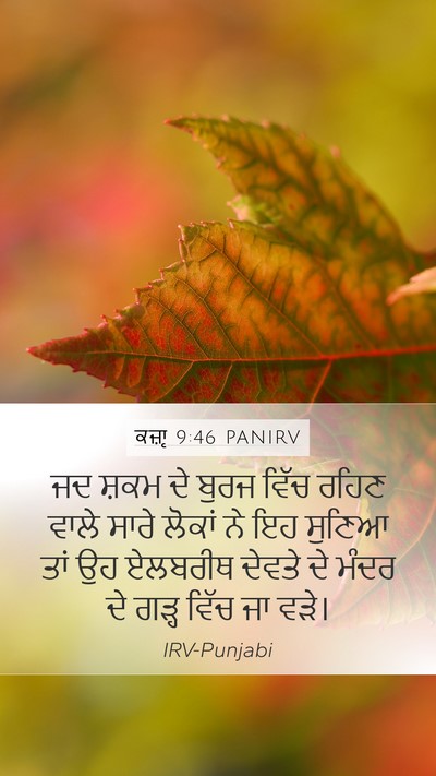 ਕਜ਼ਾૃ 9:46 PANIRV Bible Verse Image