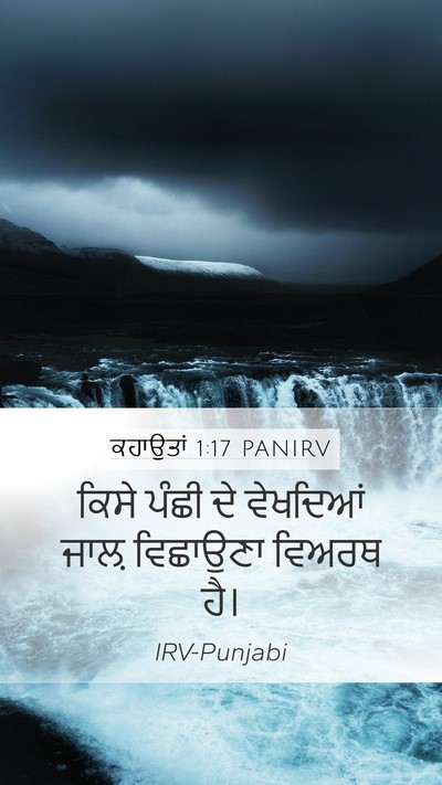 ਕਹਾਉਤਾਂ 1:17 PANIRV Bible Verse Image