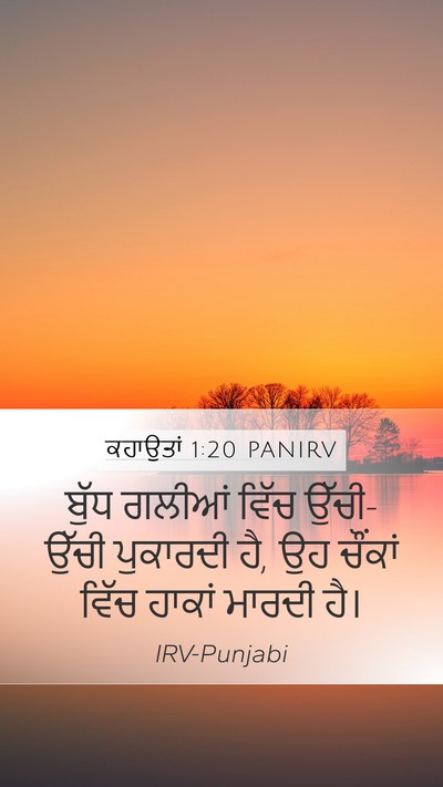 ਕਹਾਉਤਾਂ 1:20 PANIRV Bible Verse Image