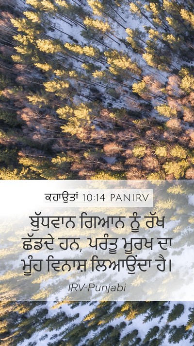 ਕਹਾਉਤਾਂ 10:14 PANIRV Bible Verse Image