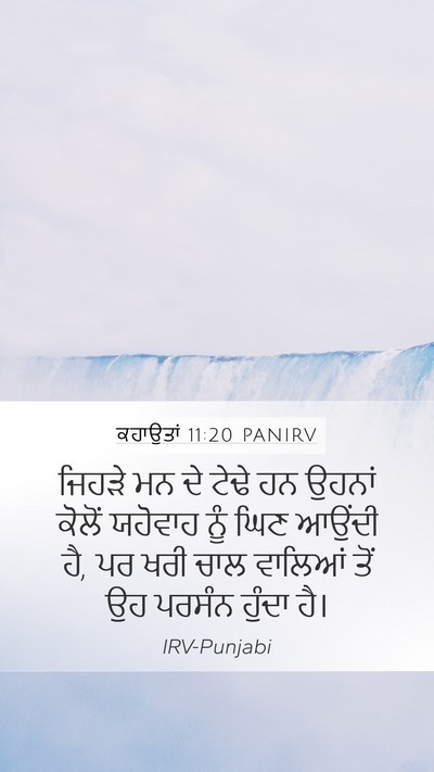 ਕਹਾਉਤਾਂ 11:20 PANIRV Bible Verse Image