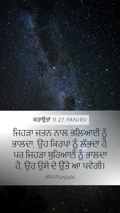 ਕਹਾਉਤਾਂ 11:27 PANIRV Mobile Phone Wallpaper - ਜਿਹੜਾ ਜਤਨ ਨਾਲ - Mobile Bible Verse Wallpaper