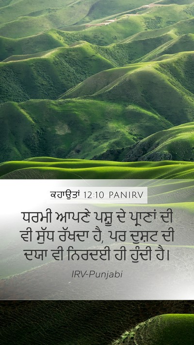 ਕਹਾਉਤਾਂ 12:10 PANIRV Bible Verse Image