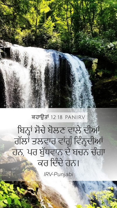 ਕਹਾਉਤਾਂ 12:18 PANIRV Bible Verse Image