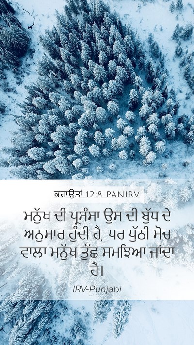 ਕਹਾਉਤਾਂ 12:8 PANIRV Mobile Phone Wallpaper - ਮਨੁੱਖ ਦੀ ਪ੍ਰਸੰਸਾ - Mobile Bible Verse Wallpaper