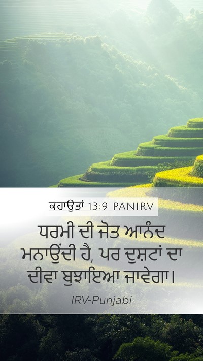 ਕਹਾਉਤਾਂ 13:9 PANIRV Bible Verse Image