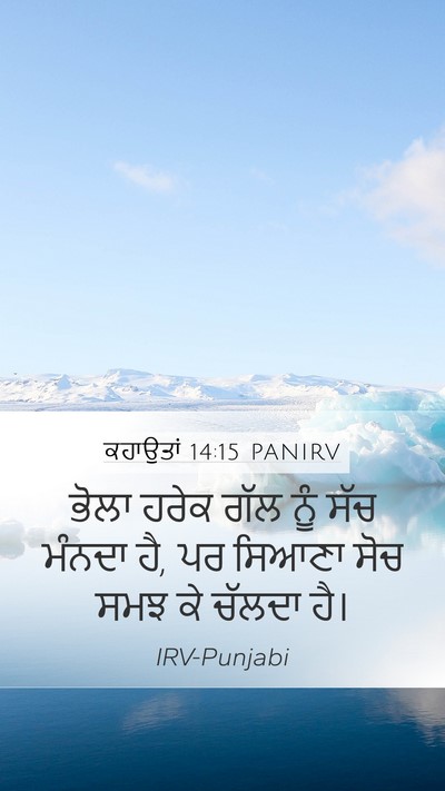ਕਹਾਉਤਾਂ 14:15 PANIRV Bible Verse Image