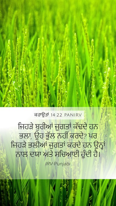 ਕਹਾਉਤਾਂ 14:22 PANIRV Bible Verse Image