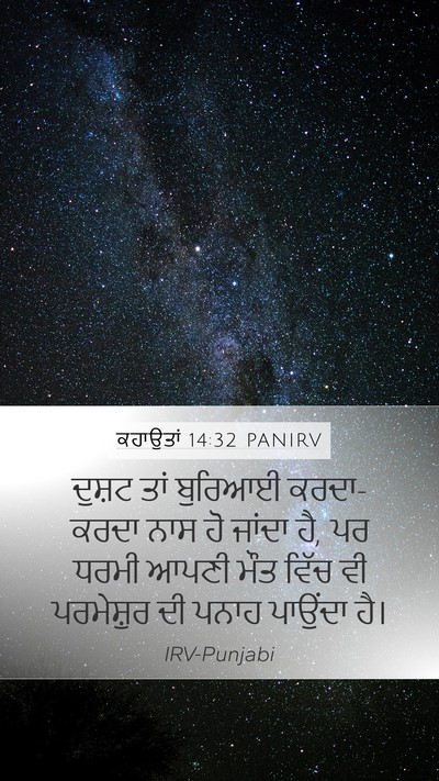 ਕਹਾਉਤਾਂ 14:32 PANIRV Mobile Phone Wallpaper - ਦੁਸ਼ਟ ਤਾਂ ਬੁਰਿਆਈ - Mobile Bible Verse Wallpaper