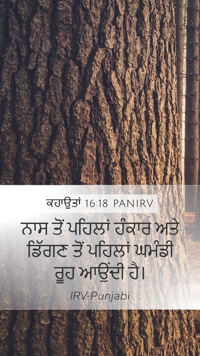 ਕਹਾਉਤਾਂ 16:18 PANIRV Bible Verse Image
