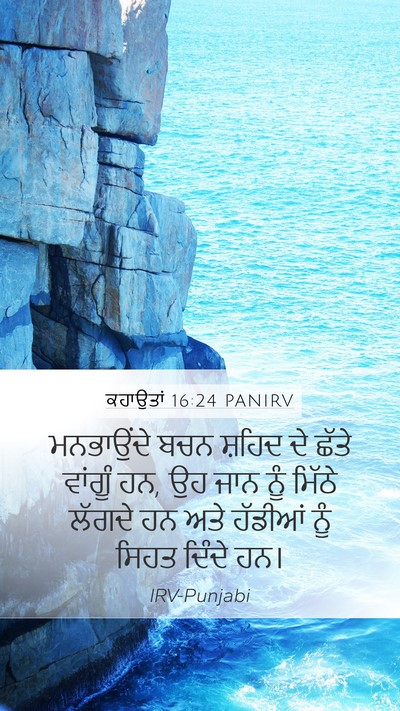 ਕਹਾਉਤਾਂ 16:24 PANIRV Bible Verse Image