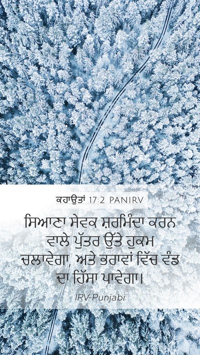 ਕਹਾਉਤਾਂ 17:2 PANIRV Bible Verse Image