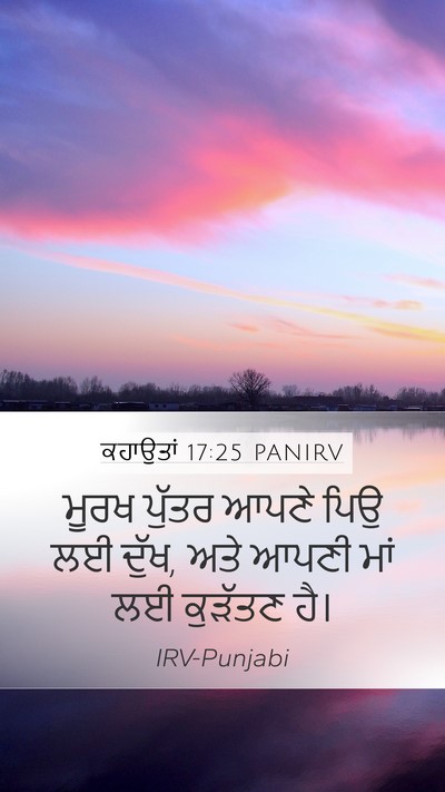 ਕਹਾਉਤਾਂ 17:25 PANIRV Bible Verse Image