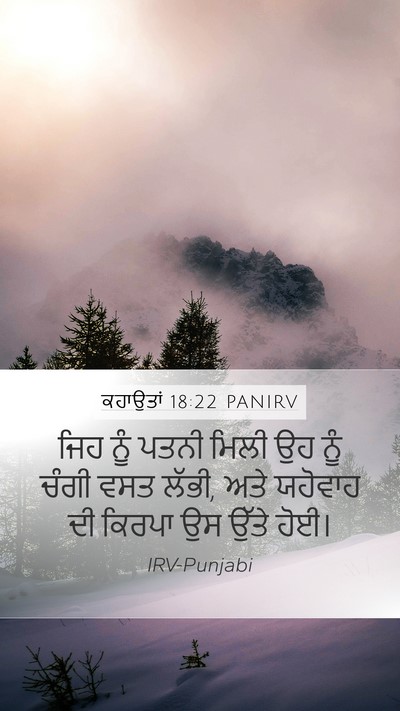 ਕਹਾਉਤਾਂ 18:22 PANIRV Bible Verse Image