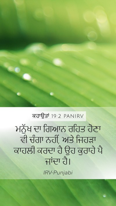 ਕਹਾਉਤਾਂ 19:2 PANIRV Bible Verse Image