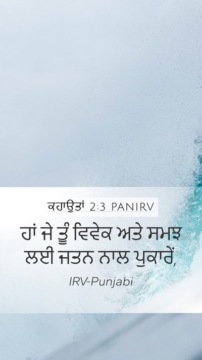 ਕਹਾਉਤਾਂ 2:3 PANIRV Bible Verse Image
