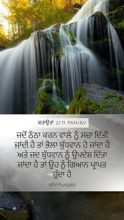 ਕਹਾਉਤਾਂ 21:11 PANIRV Bible Verse Image