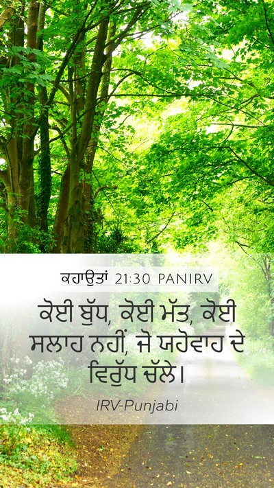 ਕਹਾਉਤਾਂ 21:30 PANIRV Bible Verse Image