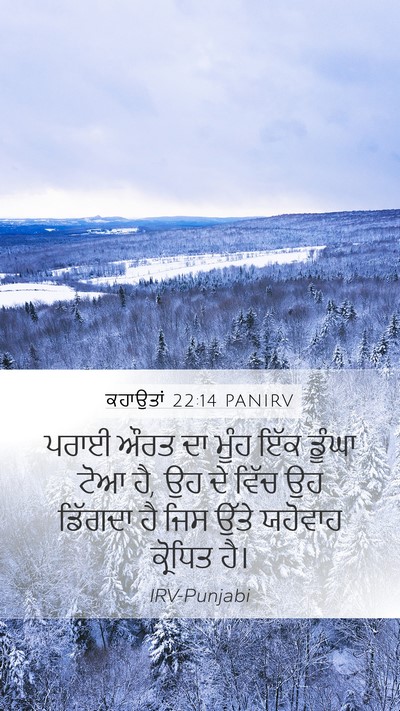 ਕਹਾਉਤਾਂ 22:14 PANIRV Bible Verse Image