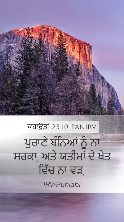 ਕਹਾਉਤਾਂ 23:10 PANIRV Bible Verse Image