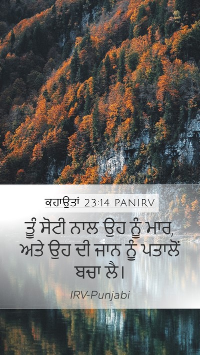 ਕਹਾਉਤਾਂ 23:14 PANIRV Bible Verse Image