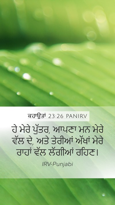 ਕਹਾਉਤਾਂ 23:26 PANIRV Bible Verse Image