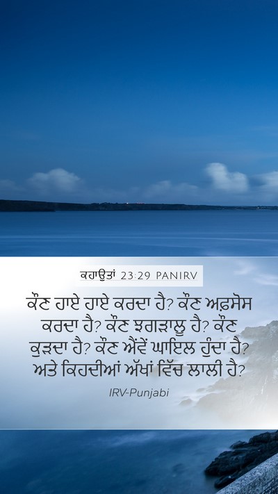 ਕਹਾਉਤਾਂ 23:29 PANIRV Bible Verse Image