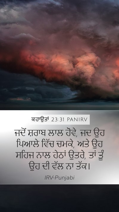 ਕਹਾਉਤਾਂ 23:31 PANIRV Bible Verse Image
