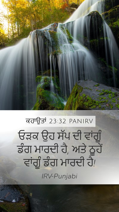 ਕਹਾਉਤਾਂ 23:32 PANIRV Bible Verse Image