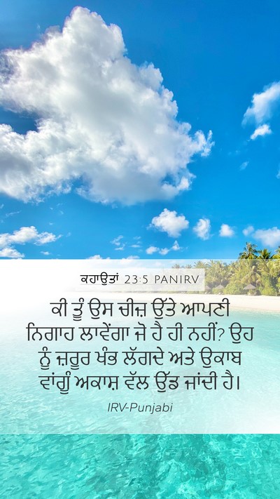 ਕਹਾਉਤਾਂ 23:5 PANIRV Bible Verse Image