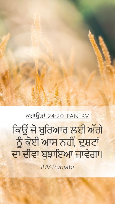 ਕਹਾਉਤਾਂ 24:20 PANIRV Bible Verse Image