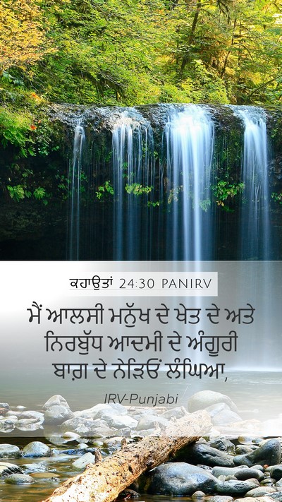 ਕਹਾਉਤਾਂ 24:30 PANIRV Bible Verse Image