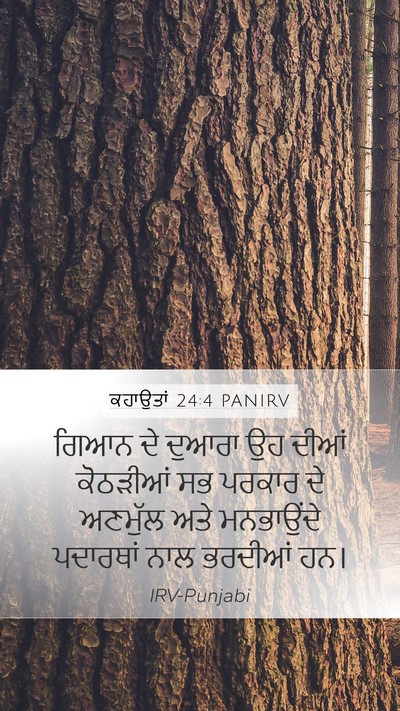 ਕਹਾਉਤਾਂ 24:4 PANIRV Mobile Phone Wallpaper - ਗਿਆਨ ਦੇ ਦੁਆਰਾ ਉਹ - Mobile Bible Verse Wallpaper