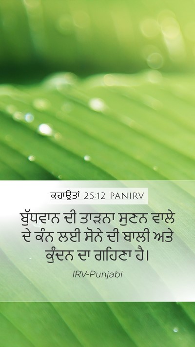 ਕਹਾਉਤਾਂ 25:12 PANIRV Bible Verse Image