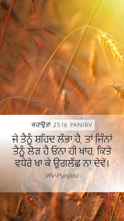 ਕਹਾਉਤਾਂ 25:16 PANIRV Bible Verse Image