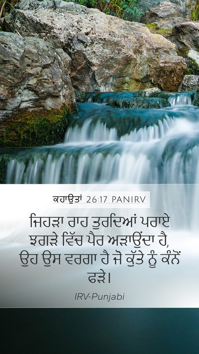 ਕਹਾਉਤਾਂ 26:17 PANIRV Bible Verse Image