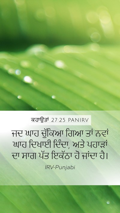 ਕਹਾਉਤਾਂ 27:25 PANIRV Mobile Phone Wallpaper - ਜਦ ਘਾਹ ਚੁੱਕਿਆ ਗਿਆ - Mobile Bible Verse Wallpaper