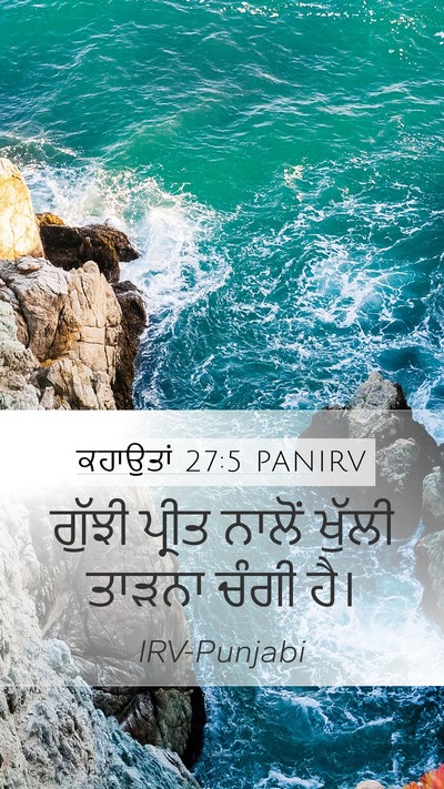 ਕਹਾਉਤਾਂ 27:5 PANIRV Bible Verse Image